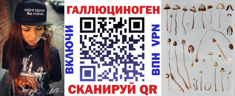 Галлюциногенные грибы Psilocybine cubensis  продажа наркотиков  Знаменск 